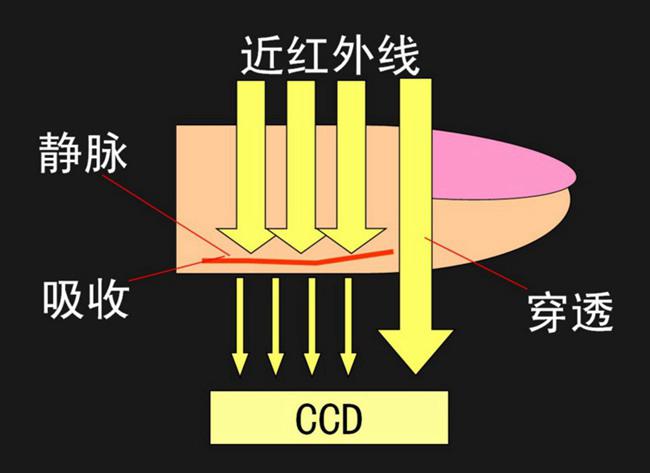  靜脈識別中濾光片的工作方式