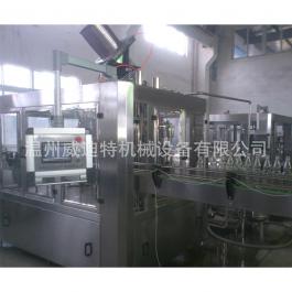 玻璃瓶果汁飲料生產(chǎn)設備